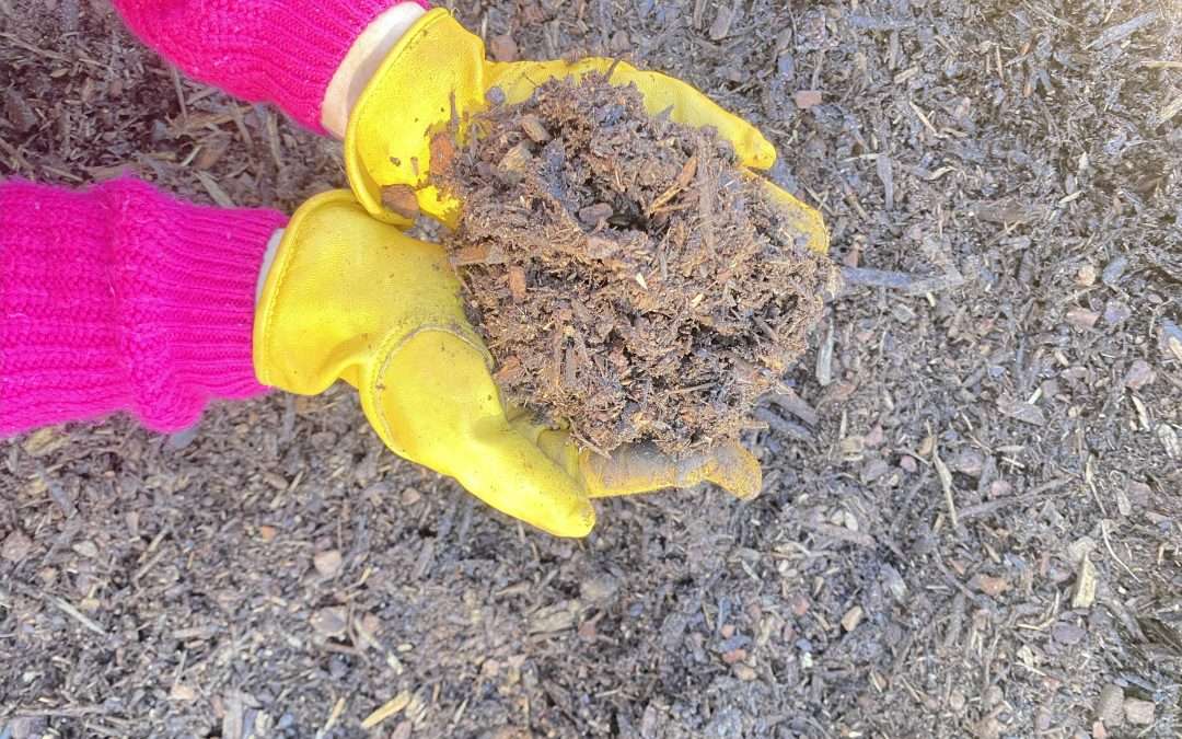 Mulch