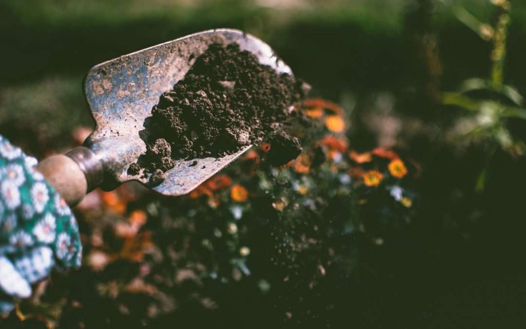 Soil Health